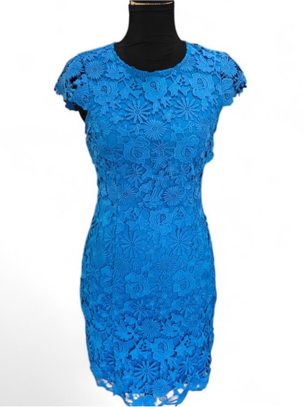 Lulu's cobalt Blue Floral Lace Backless Sheath Dress